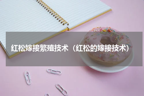 红松嫁接繁殖技术（红松的嫁接技术）