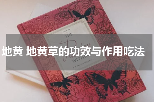 地黄 地黄草的功效与作用吃法