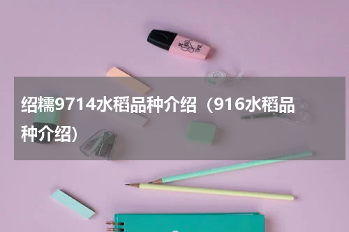 绍糯9714水稻品种介绍（916水稻品种介绍）