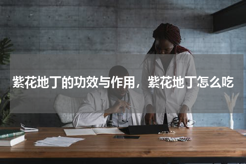 紫花地丁的功效与作用，紫花地丁怎么吃