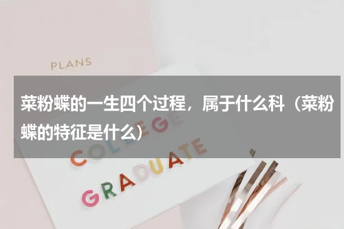 菜粉蝶的一生四个过程，属于什么科（菜粉蝶的特征是什么）