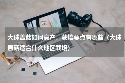 大球盖菇如何高产，栽培要点有哪些（大球盖菇适合什么地区栽培）