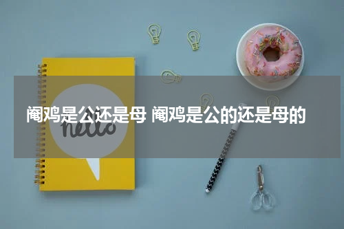 阉鸡是公还是母 阉鸡是公的还是母的