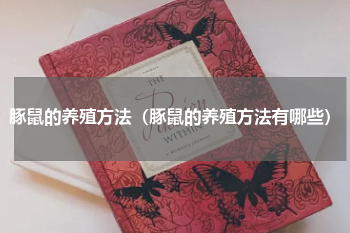 豚鼠的养殖方法（豚鼠的养殖方法有哪些）