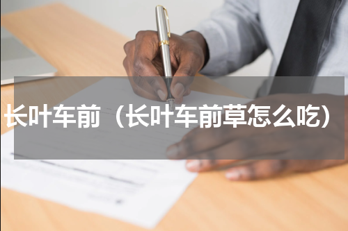 长叶车前（长叶车前草怎么吃）