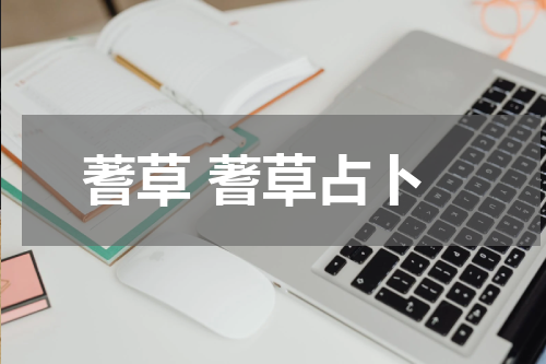 蓍草 蓍草占卜