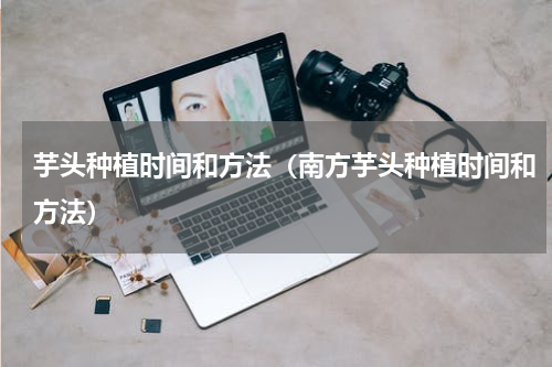 芋头种植时间和方法（南方芋头种植时间和方法）