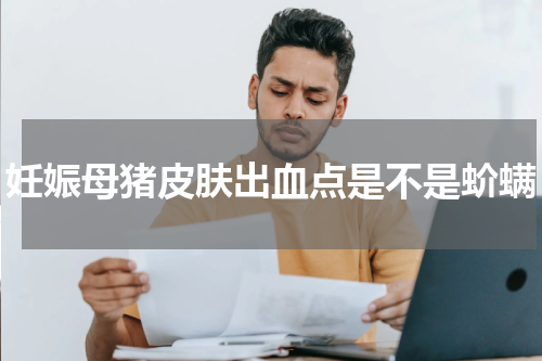 妊娠母猪皮肤出血点是不是蚧螨