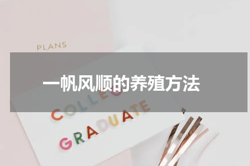  一帆风顺的养殖方法