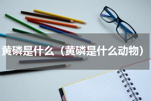 黄磷是什么（黄磷是什么动物）