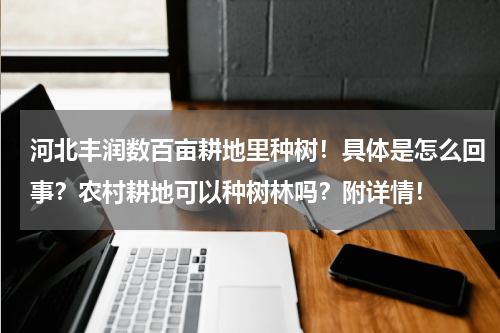 河北丰润数百亩耕地里种树！具体是怎么回事？农村耕地可以种树林吗？附详情！