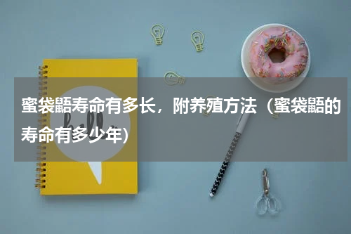 蜜袋鼯寿命有多长，附养殖方法（蜜袋鼯的寿命有多少年）