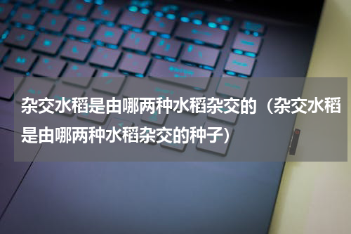 杂交水稻是由哪两种水稻杂交的（杂交水稻是由哪两种水稻杂交的种子）