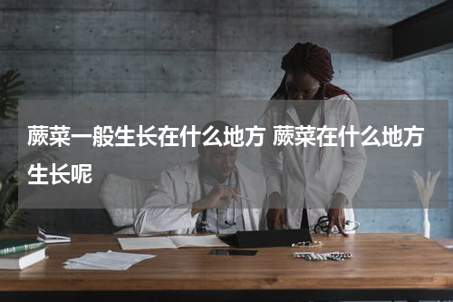 蕨菜一般生长在什么地方 蕨菜在什么地方生长呢