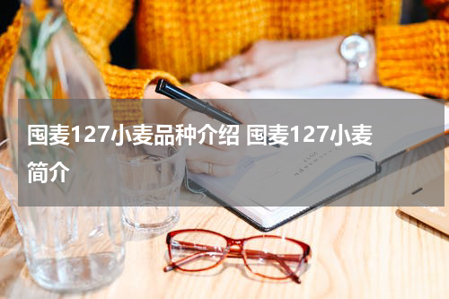 囤麦127小麦品种介绍 囤麦127小麦简介