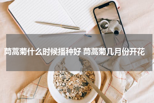 茼蒿菊什么时候播种好 茼蒿菊几月份开花
