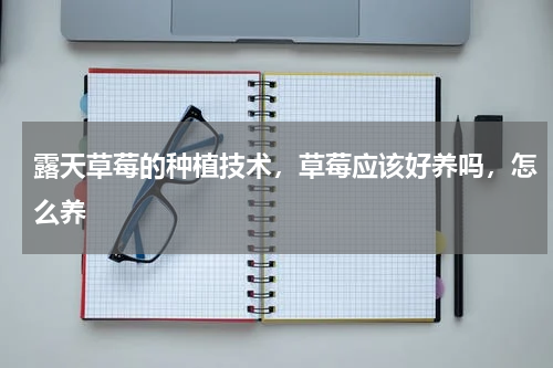 露天草莓的种植技术，草莓应该好养吗，怎么养