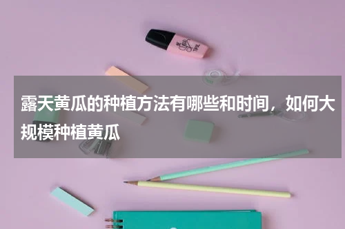 露天黄瓜的种植方法有哪些和时间，如何大规模种植黄瓜