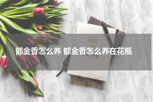 郁金香怎么养 郁金香怎么养在花瓶