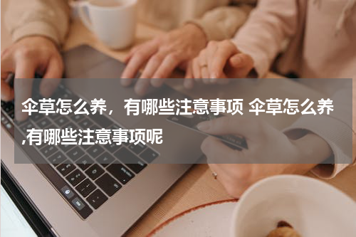 伞草怎么养，有哪些注意事项 伞草怎么养,有哪些注意事项呢