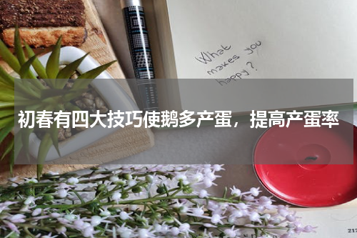 初春有四大技巧使鹅多产蛋，提高产蛋率