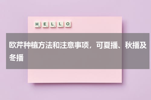 欧芹种植方法和注意事项，可夏播、秋播及冬播