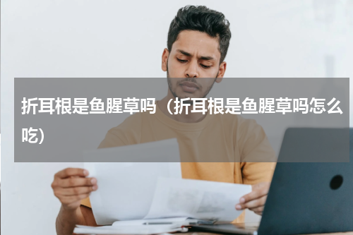 折耳根是鱼腥草吗（折耳根是鱼腥草吗怎么吃）