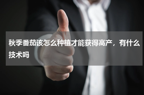 秋季番茄该怎么种植才能获得高产，有什么技术吗