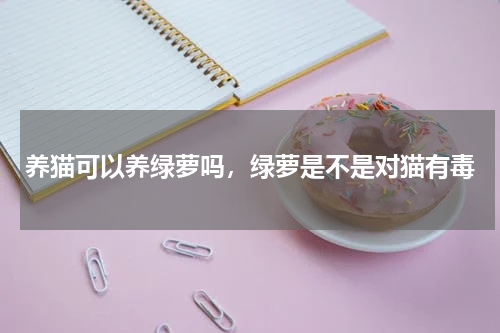 养猫可以养绿萝吗，绿萝是不是对猫有毒