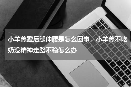 小羊羔蹬后腿伸腰是怎么回事，小羊羔不吃奶没精神走路不稳怎么办