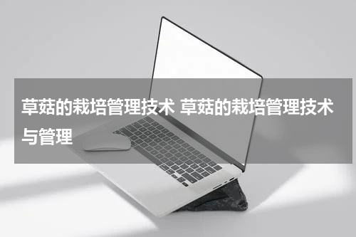 草菇的栽培管理技术 草菇的栽培管理技术与管理
