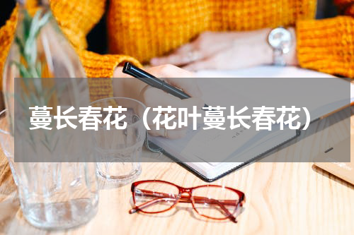 蔓长春花（花叶蔓长春花）