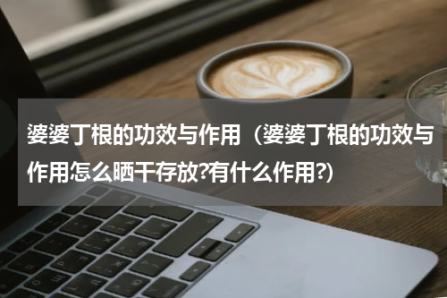 婆婆丁根的功效与作用（婆婆丁根的功效与作用怎么晒干存放?有什么作用?）