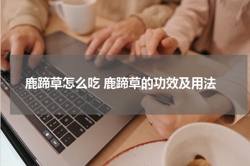 鹿蹄草怎么吃 鹿蹄草的功效及用法