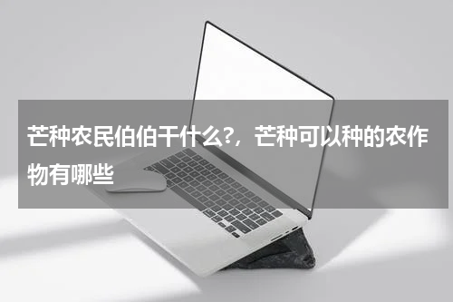芒种农民伯伯干什么?，芒种可以种的农作物有哪些