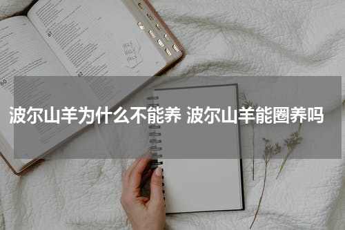 波尔山羊为什么不能养 波尔山羊能圈养吗