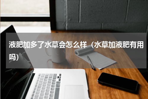 液肥加多了水草会怎么样（水草加液肥有用吗）
