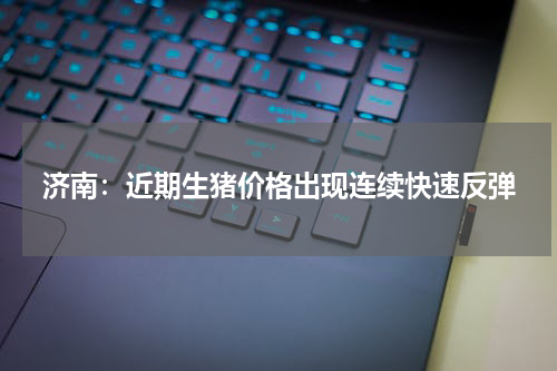济南：近期生猪价格出现连续快速反弹