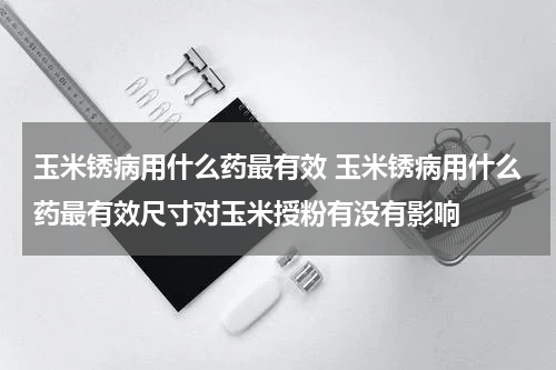 玉米锈病用什么药最有效 玉米锈病用什么药最有效尺寸对玉米授粉有没有影响