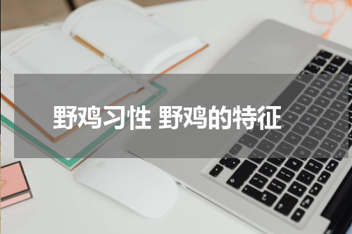 野鸡习性 野鸡的特征