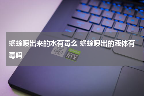 蟾蜍喷出来的水有毒么 蟾蜍喷出的液体有毒吗