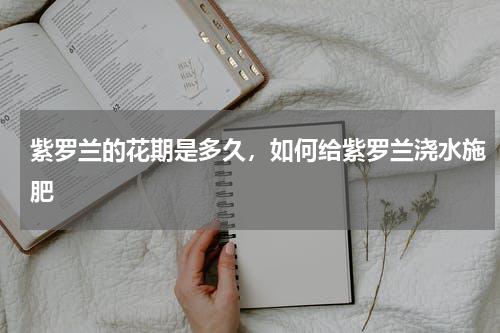 紫罗兰的花期是多久，如何给紫罗兰浇水施肥