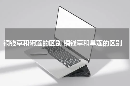 铜钱草和碗莲的区别 铜钱草和旱莲的区别