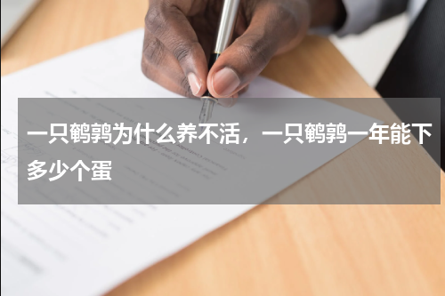 一只鹌鹑为什么养不活，一只鹌鹑一年能下多少个蛋