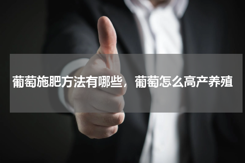 葡萄施肥方法有哪些，葡萄怎么高产养殖