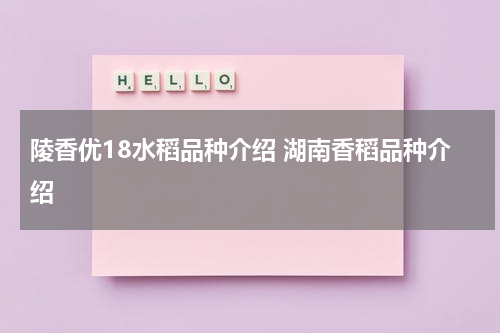 陵香优18水稻品种介绍 湖南香稻品种介绍