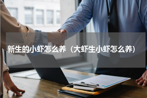 新生的小虾怎么养（大虾生小虾怎么养）