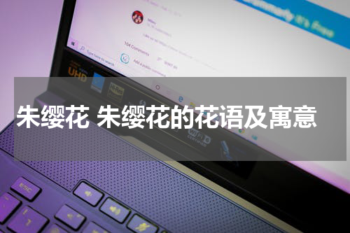 朱缨花 朱缨花的花语及寓意