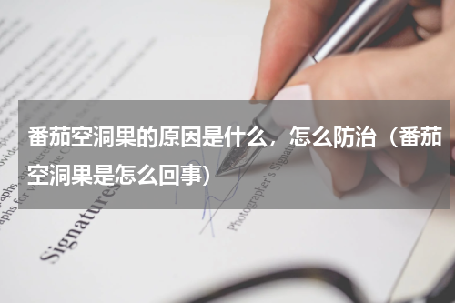 番茄空洞果的原因是什么，怎么防治（番茄空洞果是怎么回事）