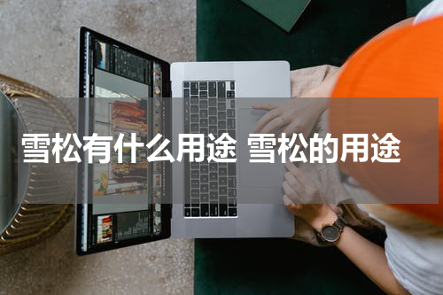 雪松有什么用途 雪松的用途